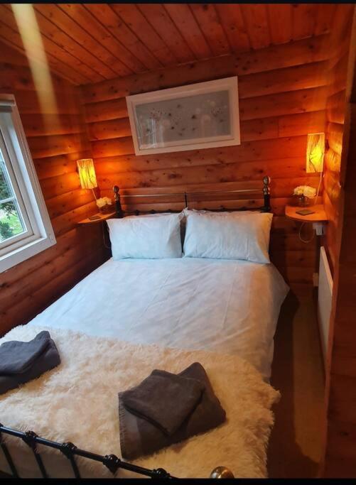 Cosy Cabin In Snowdonia With Views Wi-Fi Dog Friendly & Parking Trawsfynydd المظهر الخارجي الصورة