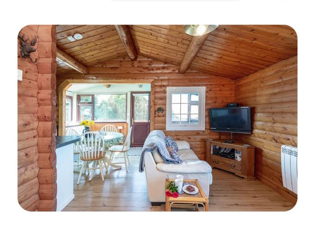 Cosy Cabin In Snowdonia With Views Wi-Fi Dog Friendly & Parking Trawsfynydd المظهر الخارجي الصورة